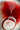JOTO Katsumi Elegant Handcrafted Ceramic Plate from JOTO