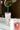 JOTO Kiyoshi Elegant Heat-Resistant Glass Tea Cup from JOTO
