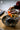 JOTO Marcellus Retro Electric Ceramic Teapot Suite from JOTO