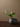 JOTO Serafina Artistic Hydroponic Mini Tea Decoration Vase from JOTO