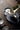 JOTO Tanuki Elegant Bamboo Five-Piece Tea Set from JOTO