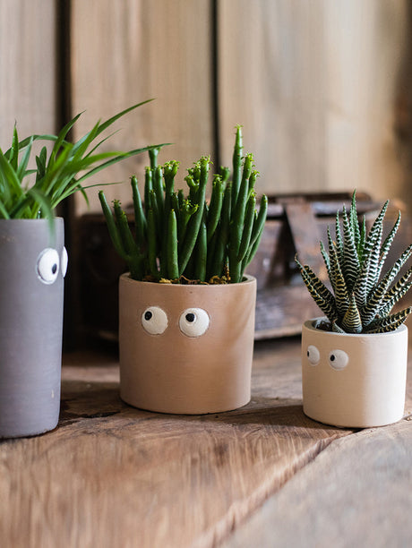 JUHAN Aeliana Vintage Floral Vibrant Flowerpot from JUHAN