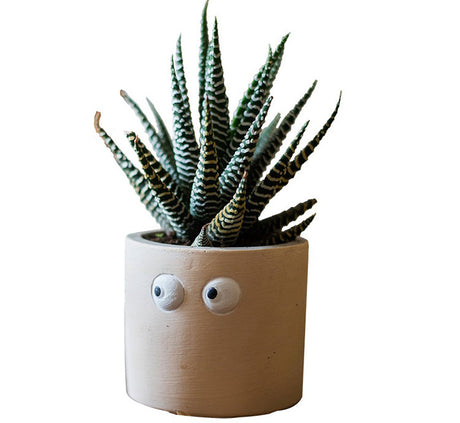 JUHAN Aeliana Vintage Floral Vibrant Flowerpot from JUHAN