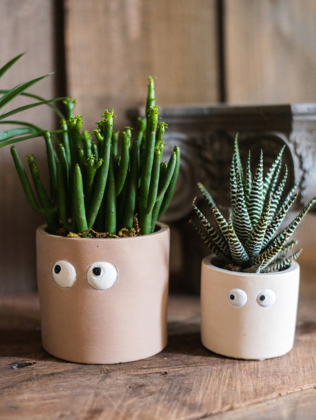 JUHAN Aeliana Vintage Floral Vibrant Flowerpot from JUHAN