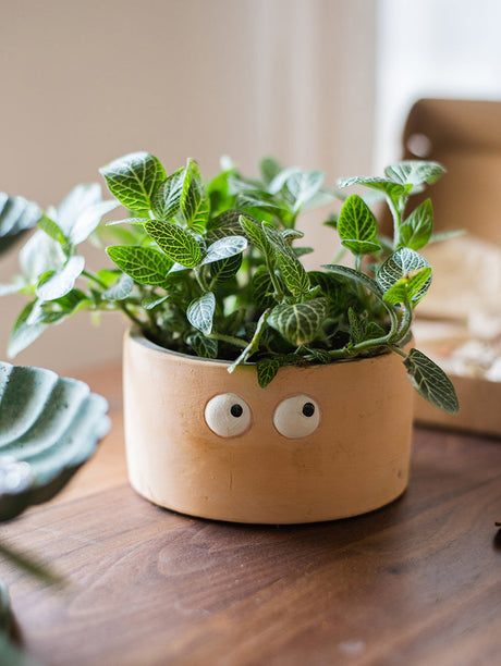 JUHAN Aeliana Vintage Floral Vibrant Flowerpot from JUHAN