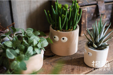 JUHAN Aeliana Vintage Floral Vibrant Flowerpot from JUHAN