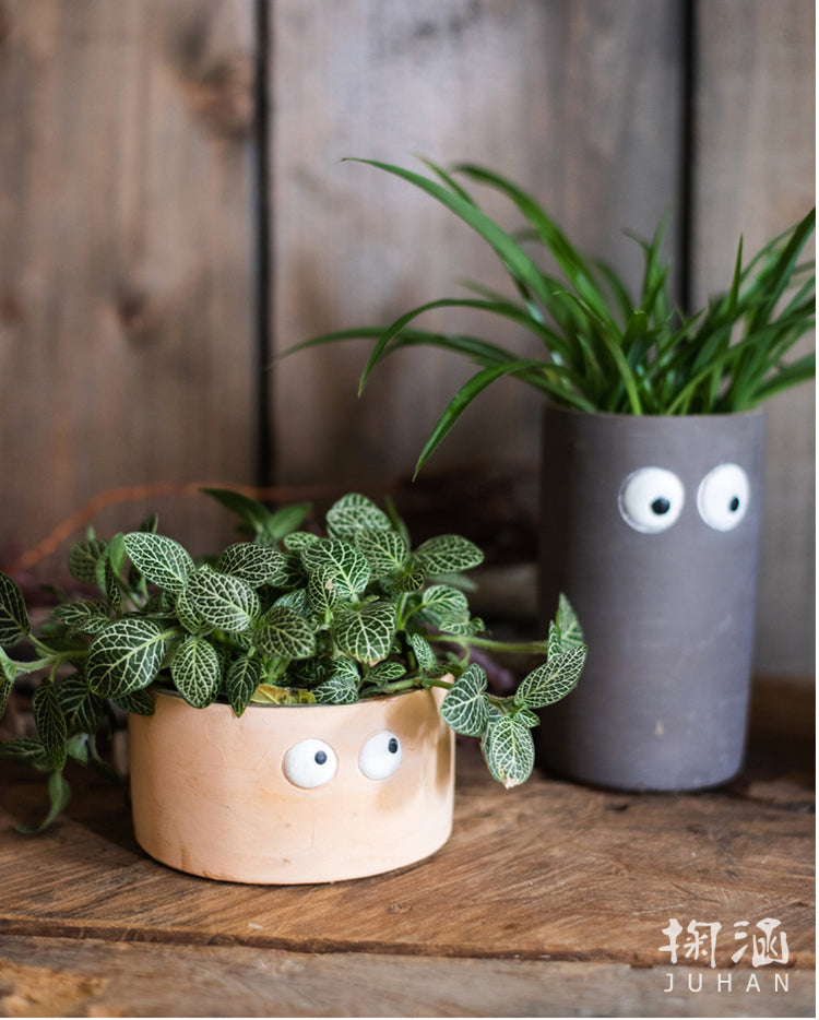 JUHAN Aeliana Vintage Floral Vibrant Flowerpot from JUHAN