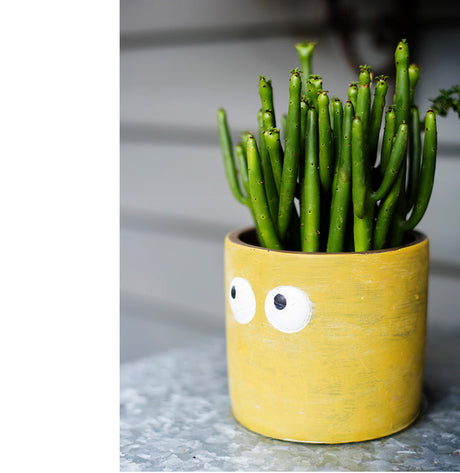 JUHAN Aeliana Vintage Floral Vibrant Flowerpot from JUHAN