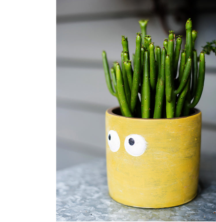 JUHAN Aeliana Vintage Floral Vibrant Flowerpot from JUHAN