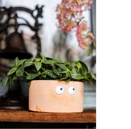 JUHAN Aeliana Vintage Floral Vibrant Flowerpot from JUHAN