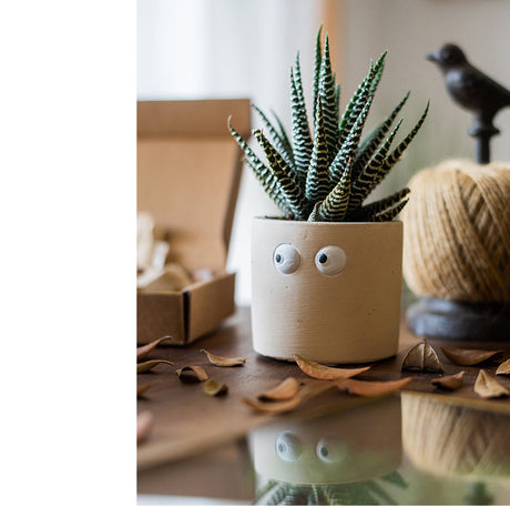 JUHAN Aeliana Vintage Floral Vibrant Flowerpot from JUHAN
