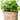 JUHAN Aisling Artistic Strawflower Pot Creative Jewelry for Gazebo from JUHAN