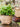 JUHAN Aisling Artistic Strawflower Pot Creative Jewelry for Gazebo from JUHAN