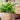 JUHAN Aisling Artistic Strawflower Pot Creative Jewelry for Gazebo from JUHAN