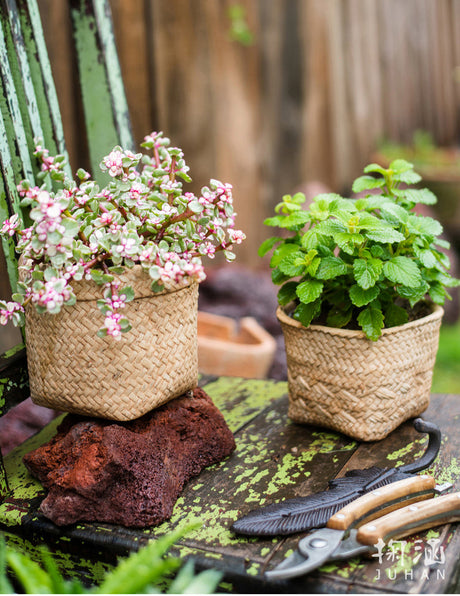 JUHAN Aisling Artistic Strawflower Pot Creative Jewelry for Gazebo from JUHAN