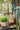 JUHAN Aisling Artistic Strawflower Pot Creative Jewelry for Gazebo from JUHAN