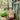 JUHAN Aisling Artistic Strawflower Pot Creative Jewelry for Gazebo from JUHAN