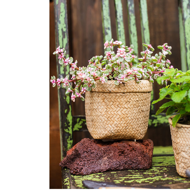 JUHAN Aisling Artistic Strawflower Pot Creative Jewelry for Gazebo from JUHAN