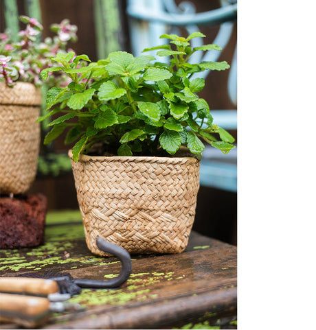 JUHAN Aisling Artistic Strawflower Pot Creative Jewelry for Gazebo from JUHAN