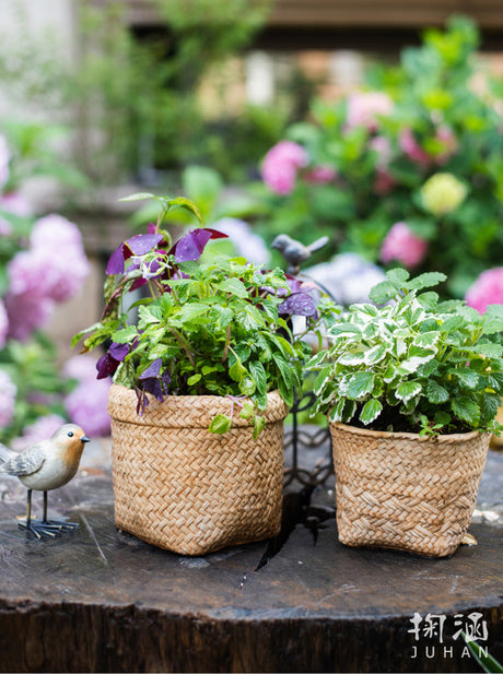 JUHAN Aisling Artistic Strawflower Pot Creative Jewelry for Gazebo from JUHAN