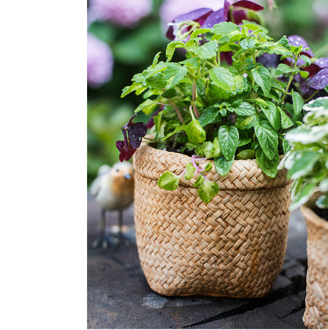 JUHAN Aisling Artistic Strawflower Pot Creative Jewelry for Gazebo from JUHAN