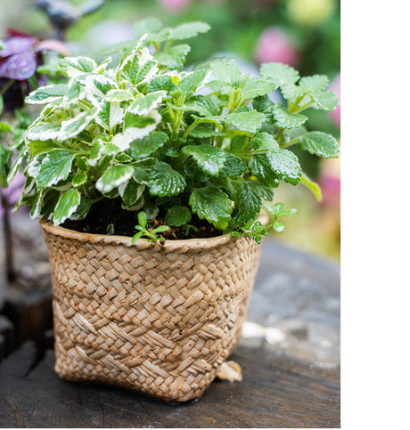 JUHAN Aisling Artistic Strawflower Pot Creative Jewelry for Gazebo from JUHAN