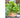 JUHAN Aisling Artistic Strawflower Pot Creative Jewelry for Gazebo from JUHAN