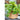 JUHAN Aisling Artistic Strawflower Pot Creative Jewelry for Gazebo from JUHAN