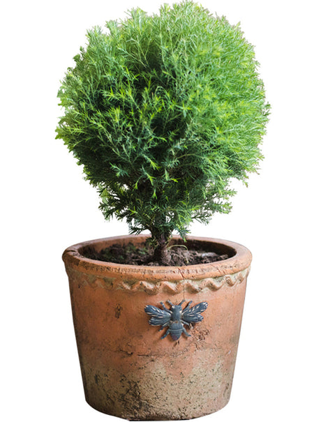 JUHAN Aisling Elegant Retro Ellipse Flowerpot from JUHAN