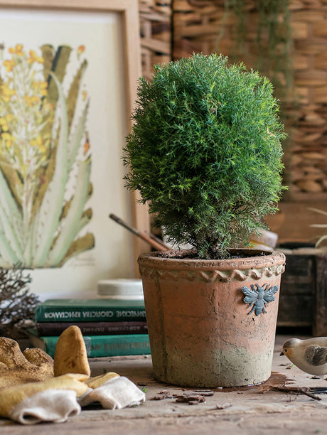 JUHAN Aisling Elegant Retro Ellipse Flowerpot from JUHAN