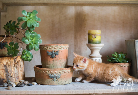JUHAN Aisling Elegant Retro Ellipse Flowerpot from JUHAN