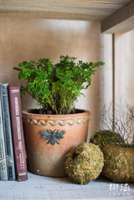 JUHAN Aisling Elegant Retro Ellipse Flowerpot from JUHAN