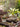 JUHAN Aisling Retro Geometric Pattern Flower Pot from JUHAN