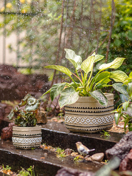 JUHAN Aisling Retro Geometric Pattern Flower Pot from JUHAN