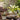 JUHAN Aisling Retro Geometric Pattern Flower Pot from JUHAN
