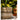 JUHAN Aisling Retro Geometric Pattern Flower Pot from JUHAN