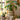 JUHAN Aisling Retro Geometric Pattern Flower Pot from JUHAN