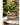 JUHAN Aisling Retro Geometric Pattern Flower Pot from JUHAN
