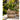 JUHAN Aisling Retro Geometric Pattern Flower Pot from JUHAN