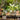 JUHAN Aisling Retro Geometric Pattern Flower Pot from JUHAN