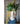 JUHAN Akihiko Artistic Decorative Flowerpot Jewelry from JUHAN