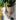 JUHAN Akihiko Artistic Decorative Flowerpot Jewelry from JUHAN