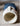 JUHAN Akihiko Artistic Decorative Flowerpot Jewelry from JUHAN