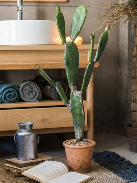 JUHAN Akihiko Lifelike Tropical Bonsai Cactus Decor from JUHAN