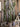 JUHAN Akihiko Lifelike Tropical Bonsai Cactus Decor from JUHAN