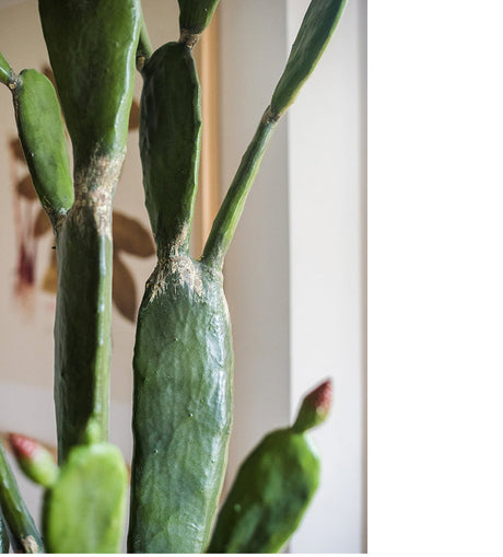 JUHAN Akihiko Lifelike Tropical Bonsai Cactus Decor from JUHAN