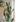 JUHAN Akihiko Lifelike Tropical Bonsai Cactus Decor from JUHAN