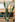 JUHAN Akihiko Lifelike Tropical Bonsai Cactus Decor from JUHAN