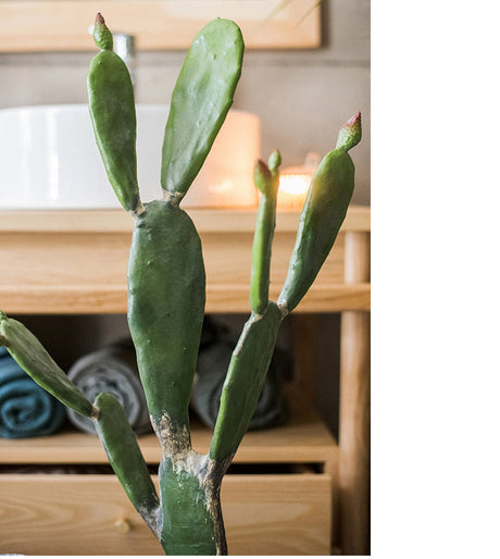 JUHAN Akihiko Lifelike Tropical Bonsai Cactus Decor from JUHAN