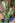 JUHAN Akihiko Lifelike Tropical Bonsai Cactus Decor from JUHAN